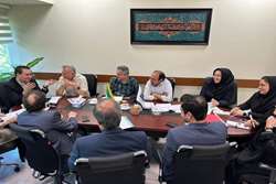 برگزاری جلسه کمیته کارشناسان منتخب در دانشگاه علوم پزشکی تهران 